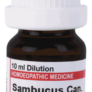  Sambucus Can  30