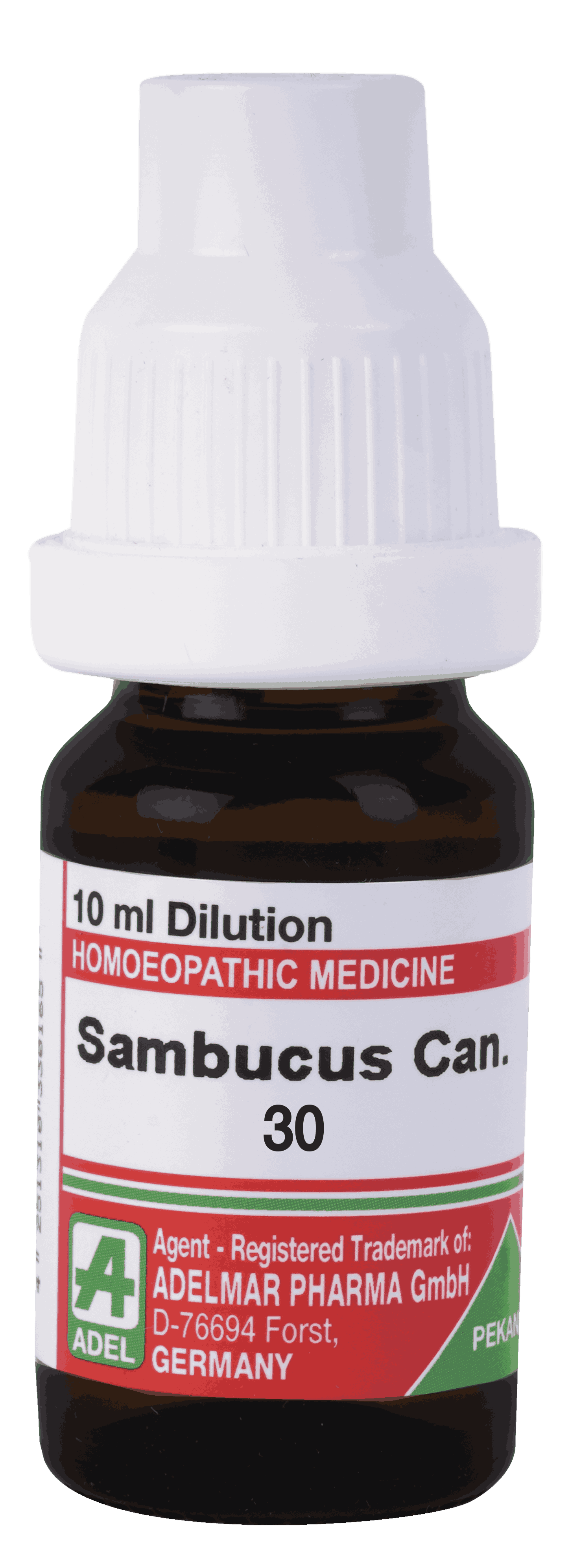  Sambucus Can  30