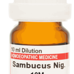  Sambucus Nig  10M