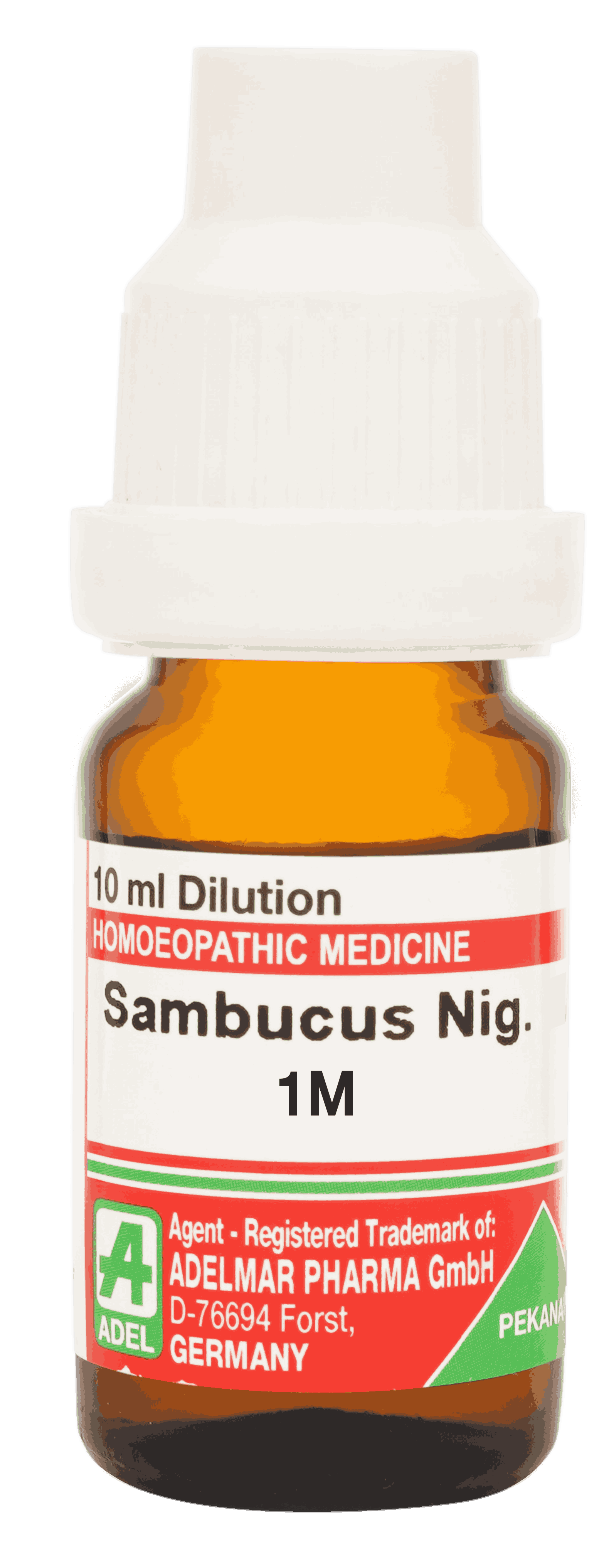  Sambucus Nig  1M