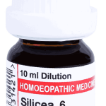  Silicea  6