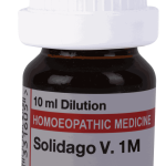  Solidago V  1M