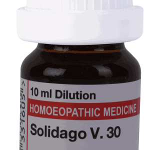  Solidago V  30