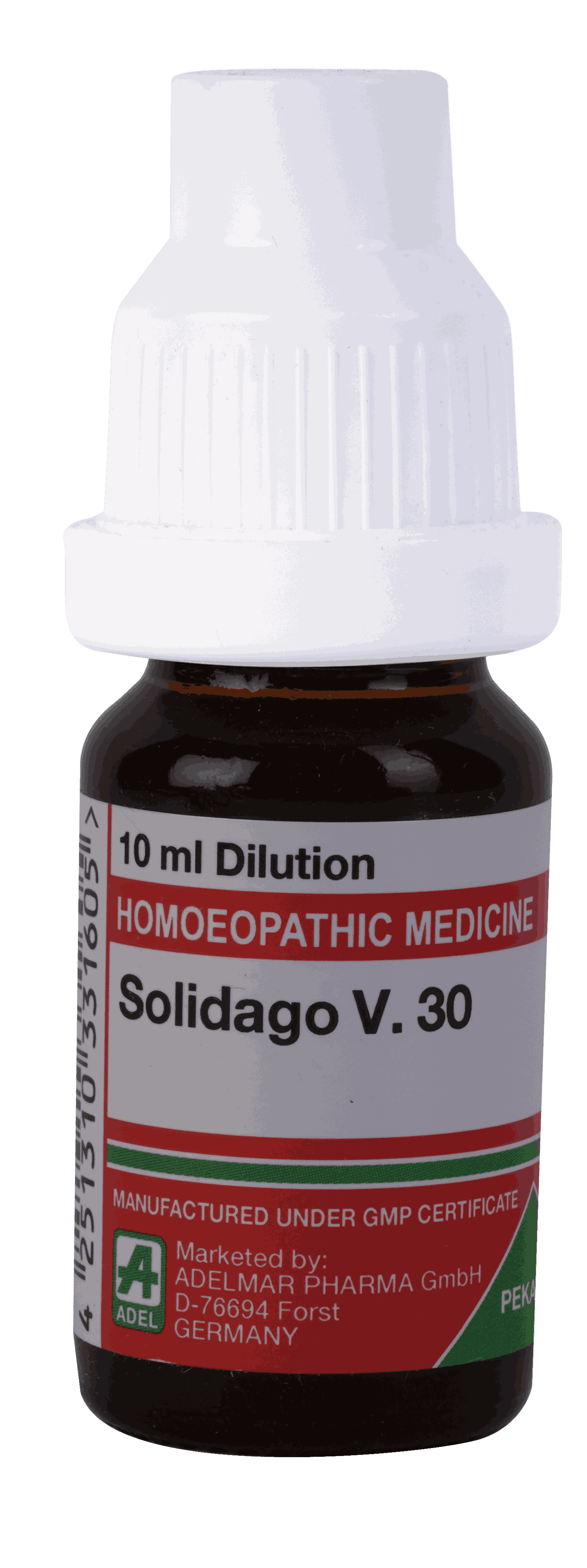  Solidago V  30