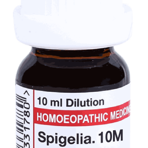  Spigelia  10M