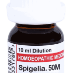  Spigelia  50M