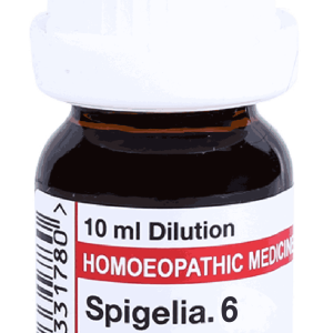  Spigelia  6