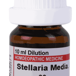  Stellaria Media  30