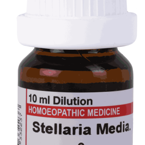  Stellaria Media  6