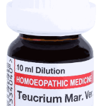  Teucrium mar ver  1M