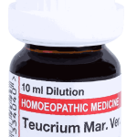  Teucrium mar ver  6