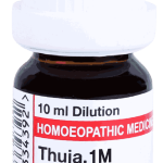 Thuja  1M