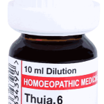  Thuja  6