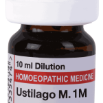  Ustilago M  1M