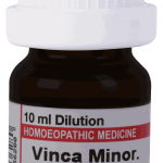  Vinca Minor  1M