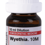  Wyethia  10M