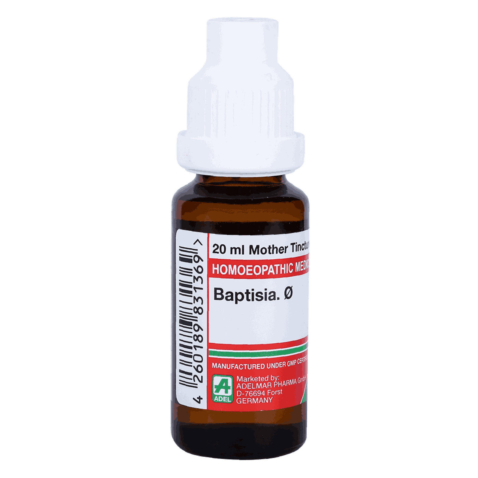  Baptisia  Ø