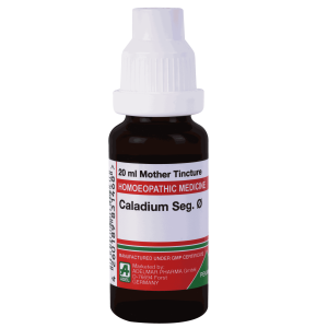  Caladium Seg.   Ø