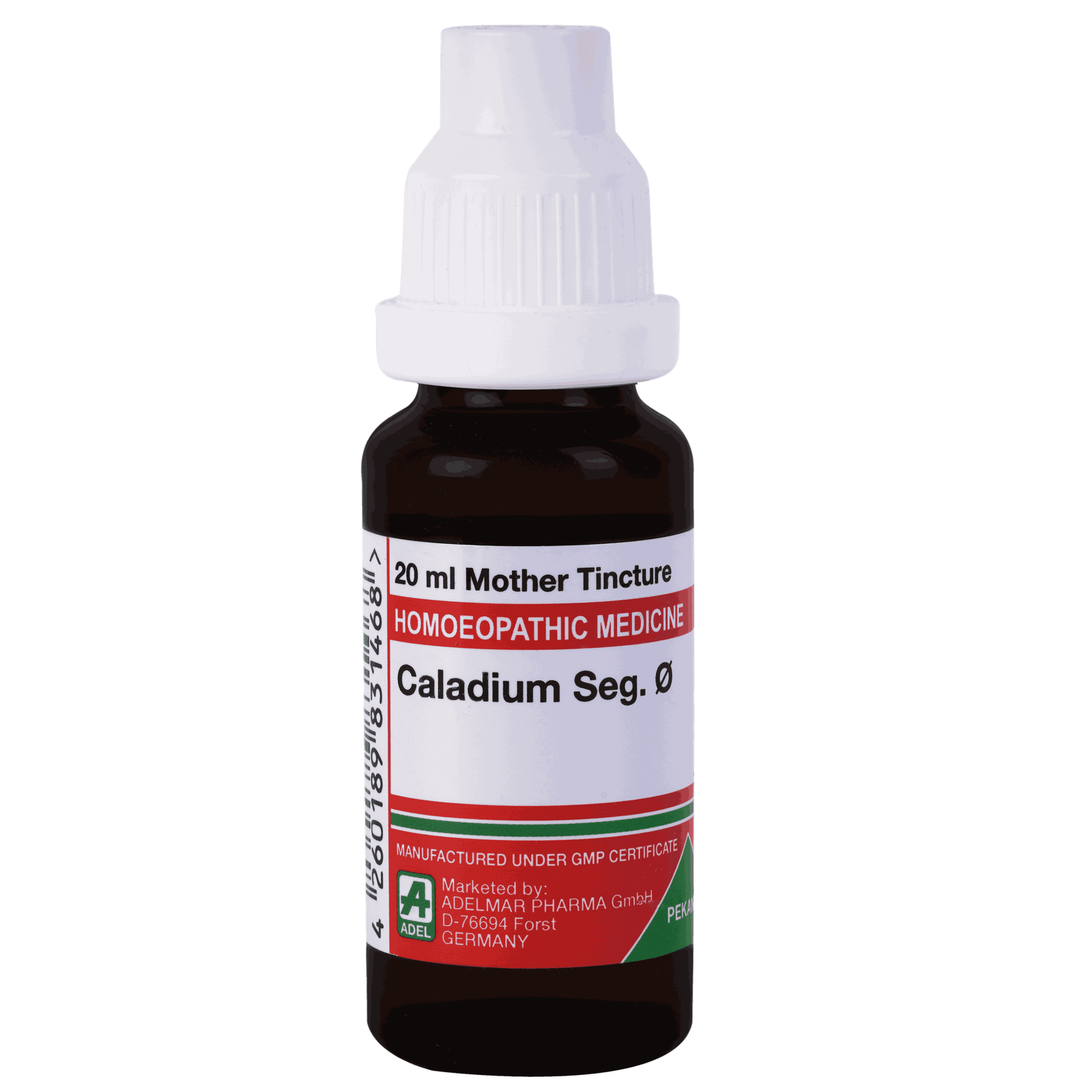  Caladium Seg.   Ø