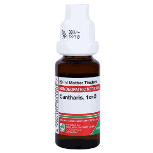  Cantharis  