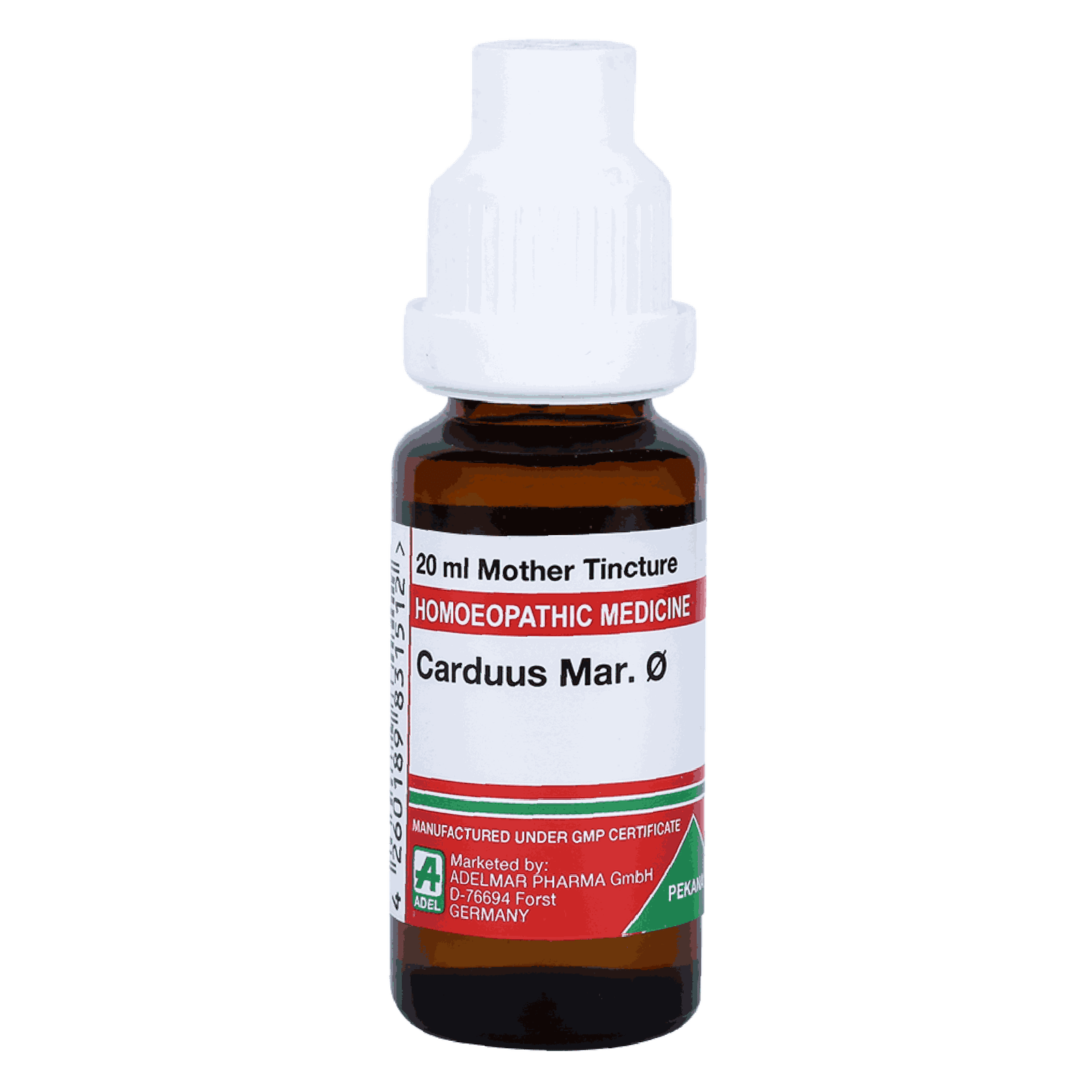  Carduus Mar  Ø
