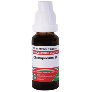  Chenopodium.   Ø
