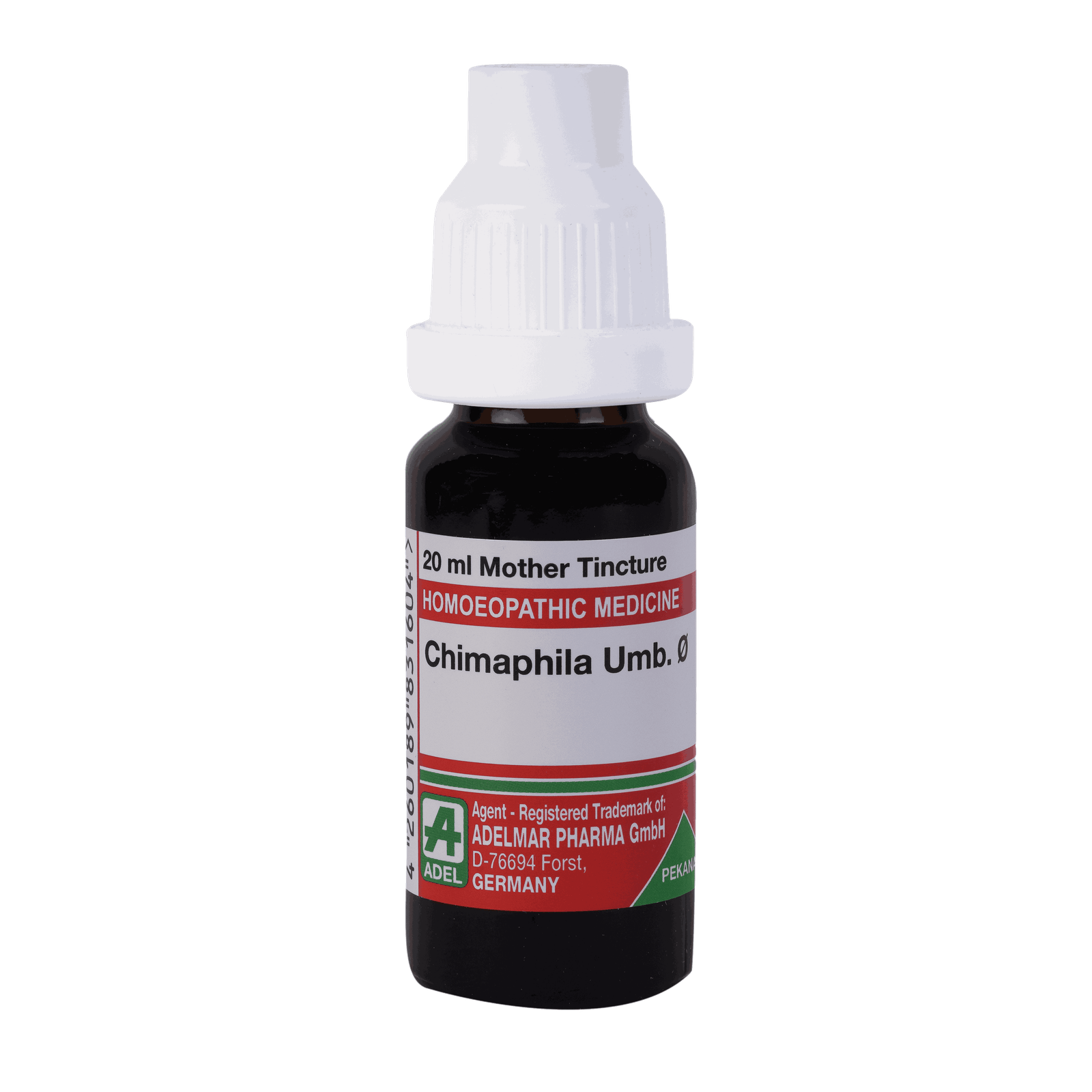  Chimaphilla Umb.   Ø