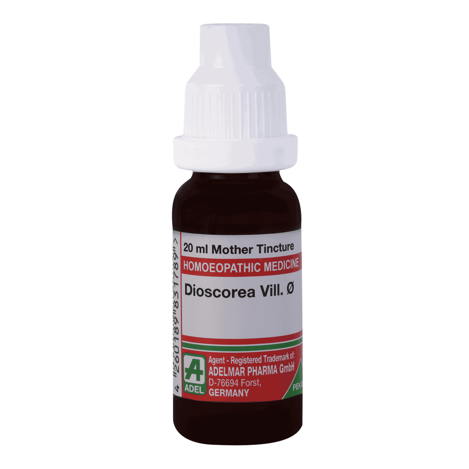  Dioscorea Vill.   Ø