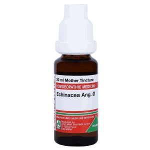  Echinacea Ang  Ø