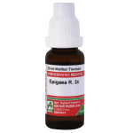  Epigaea R.  2x