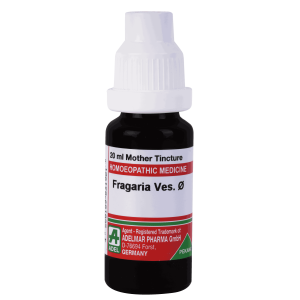  Fragaria Ves.   Ø
