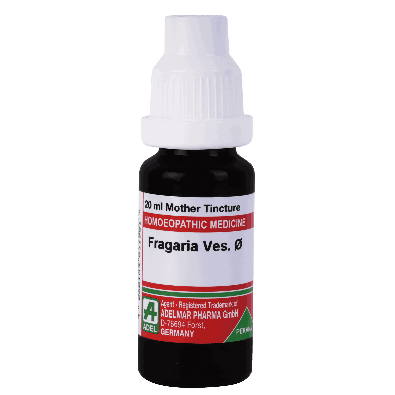  Fragaria Ves.   Ø