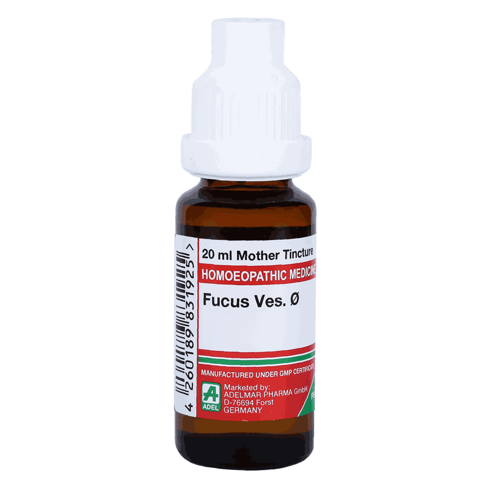  Fucus Ves  Ø