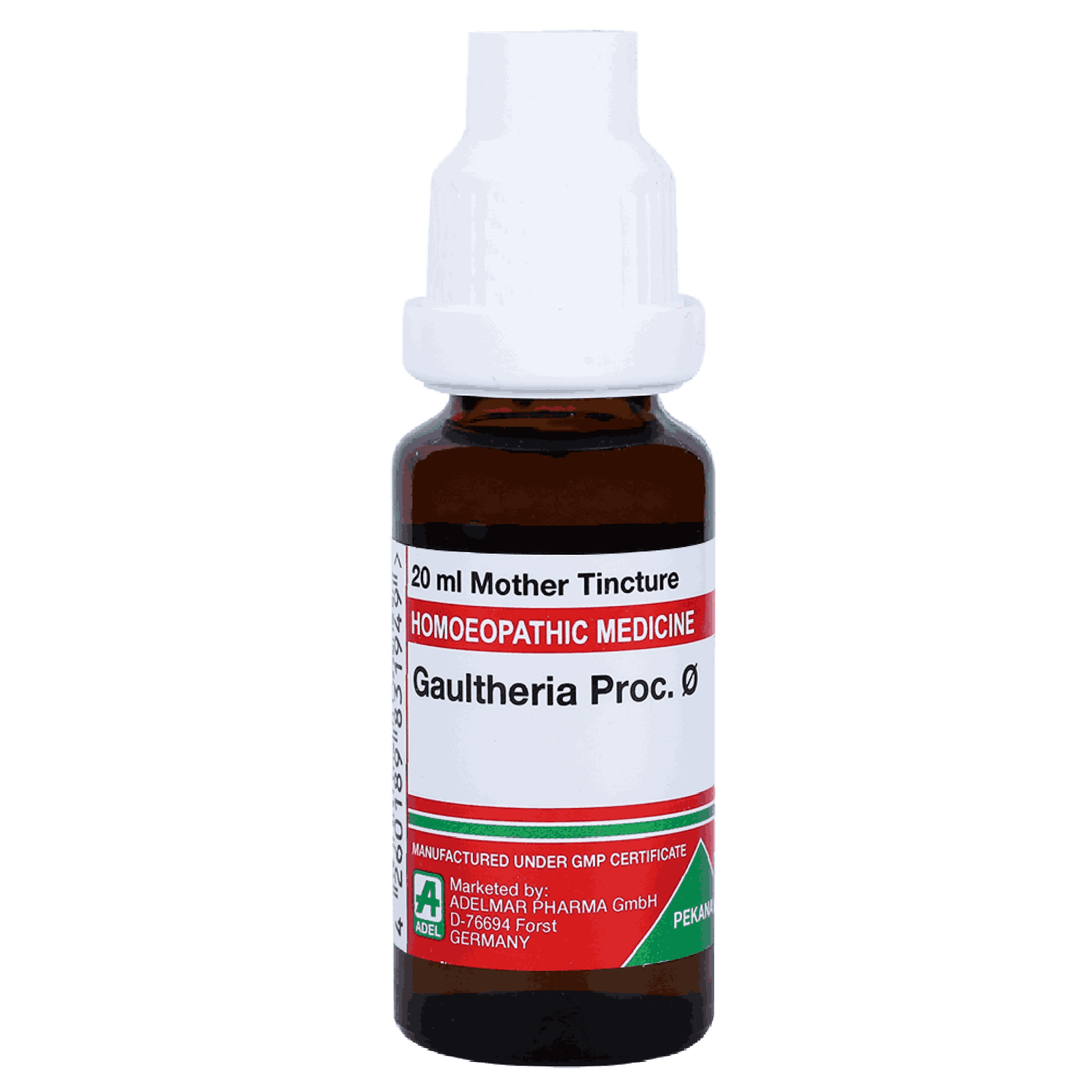  Gaultheria Proc  