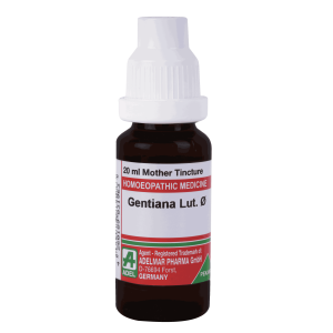  Gentiana Lut.   Ø