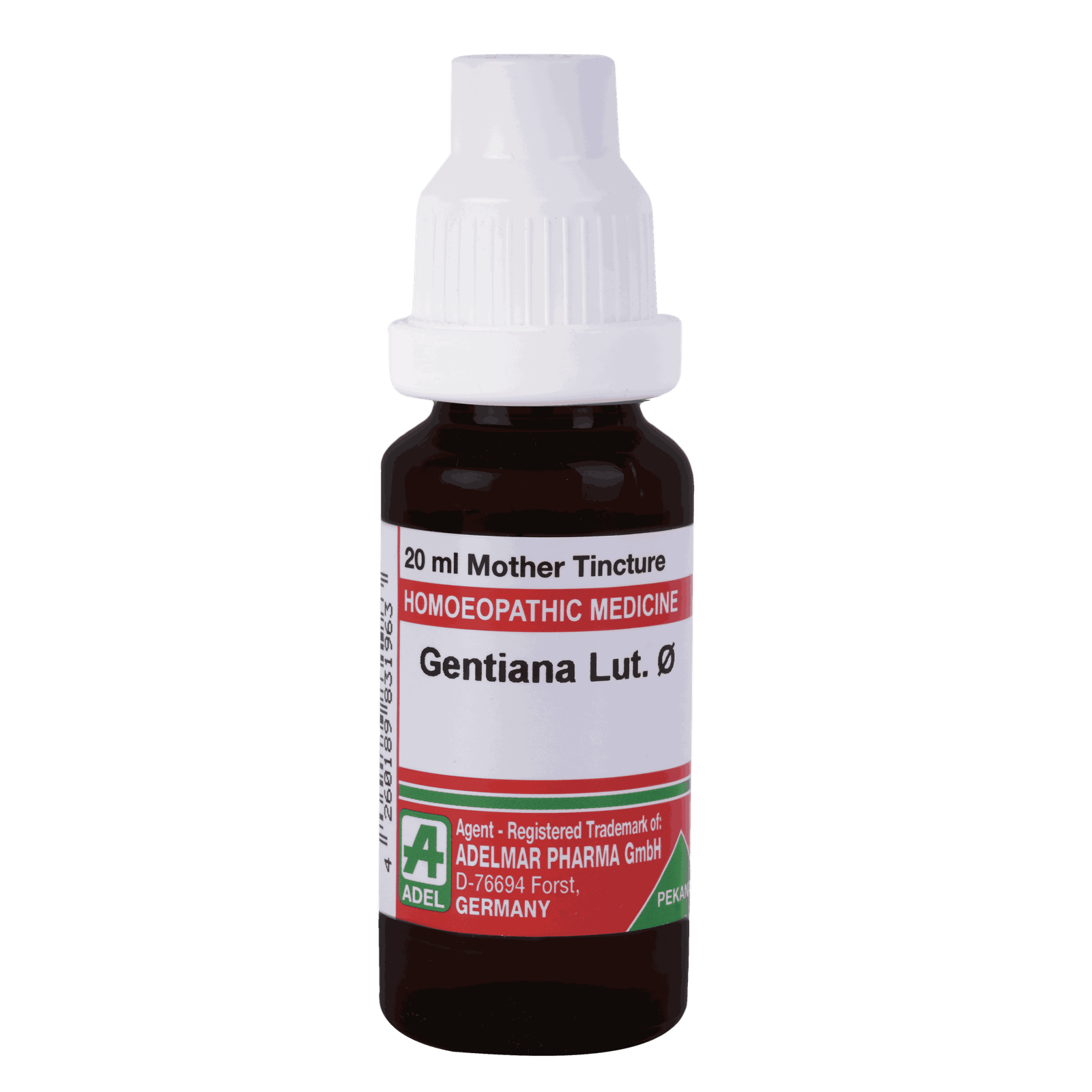  Gentiana Lut.   Ø