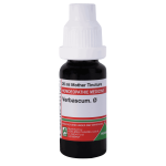  Verbascum.  Ø